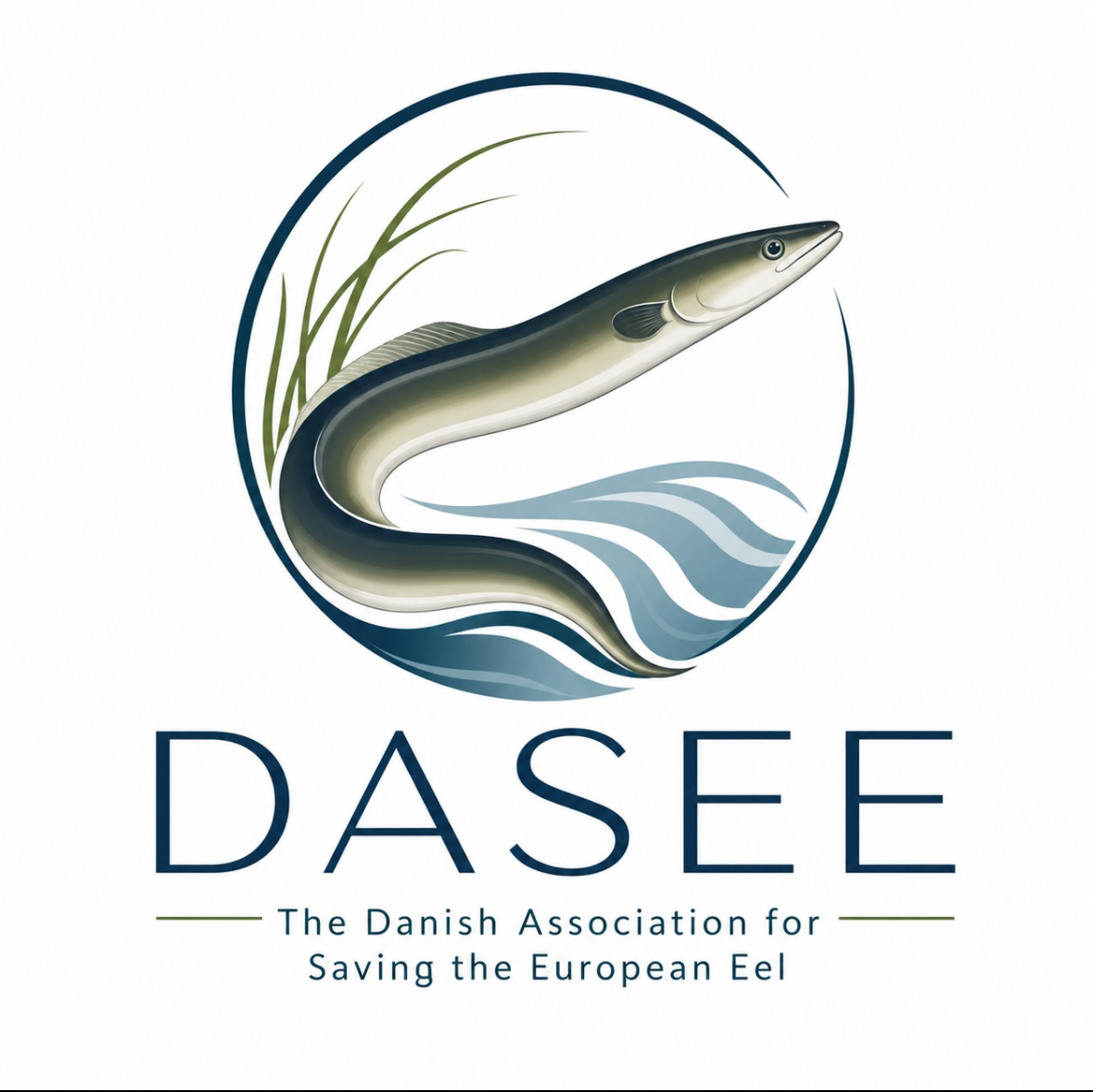 DASEE